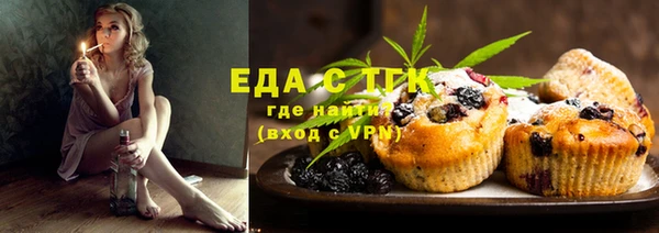 индика Бородино