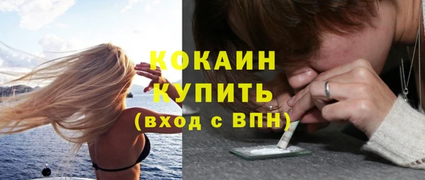 прущие крисы Верея
