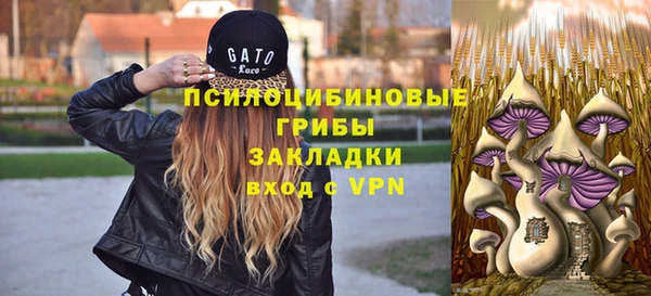 соль ск Бронницы