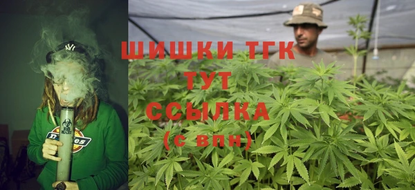 индика Бородино