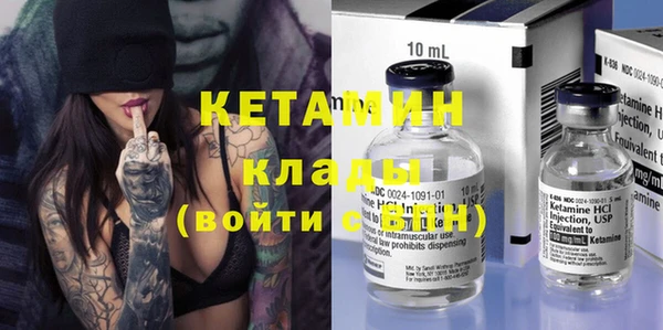 индика Бородино