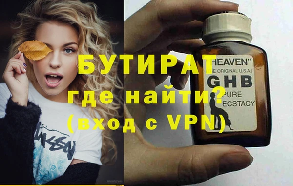 индика Бородино