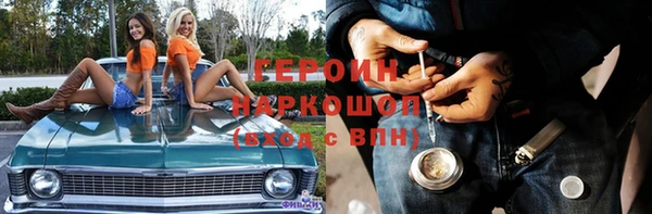 индика Бородино