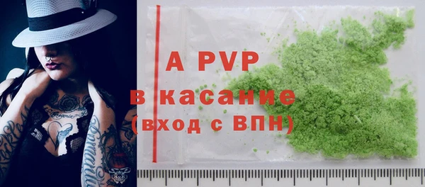 индика Бородино