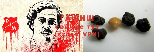 индика Бородино