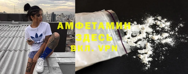 индика Бородино