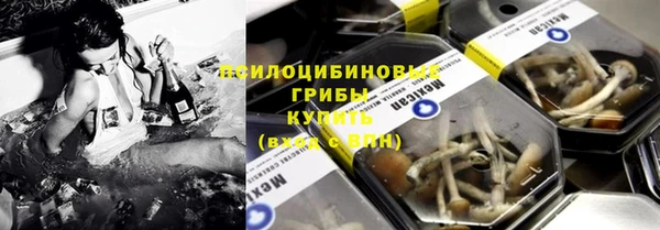 прущие крисы Верея