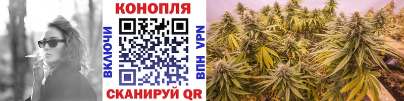 Марихуана индика  что такое наркотик  Электросталь 